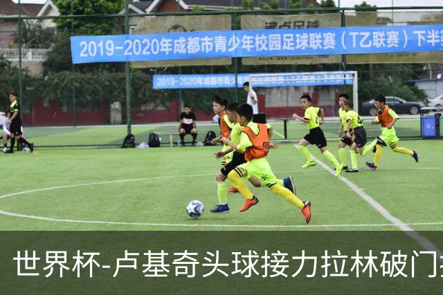 世界杯-卢基奇头球接力拉林破门扳平 加拿大1-1波黑